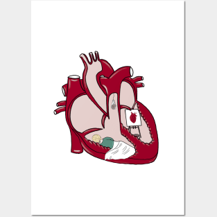 Heart anatomy Posters and Art